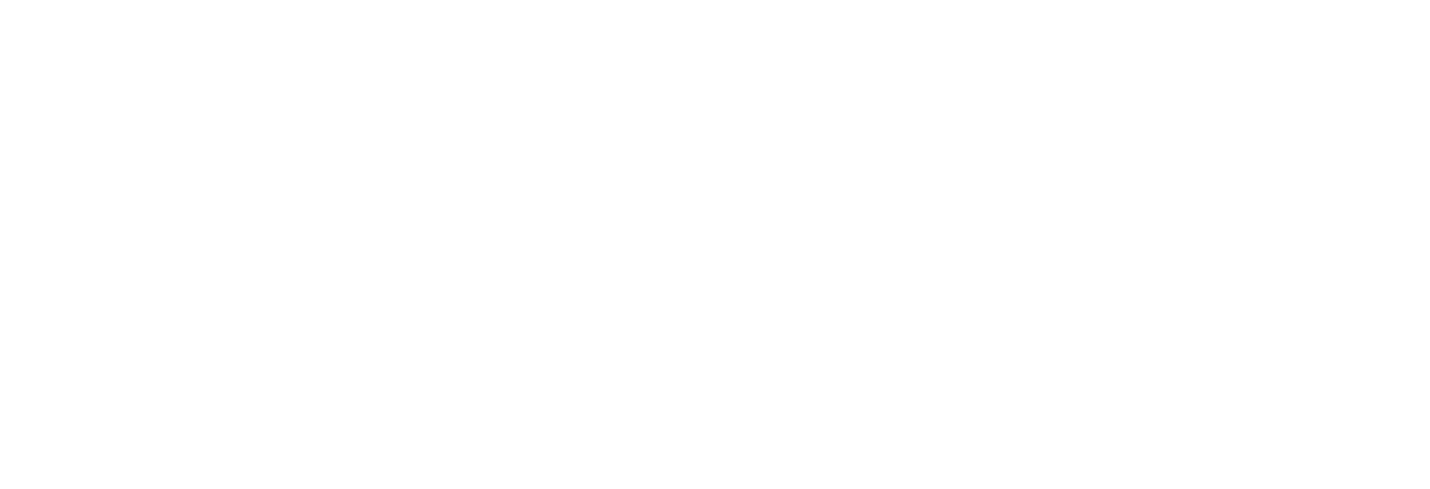Professional Pioneers Group