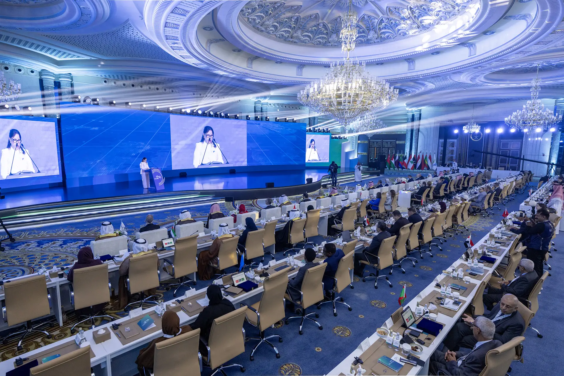 The Arab Organization Conference for Supreme Audit Institutions