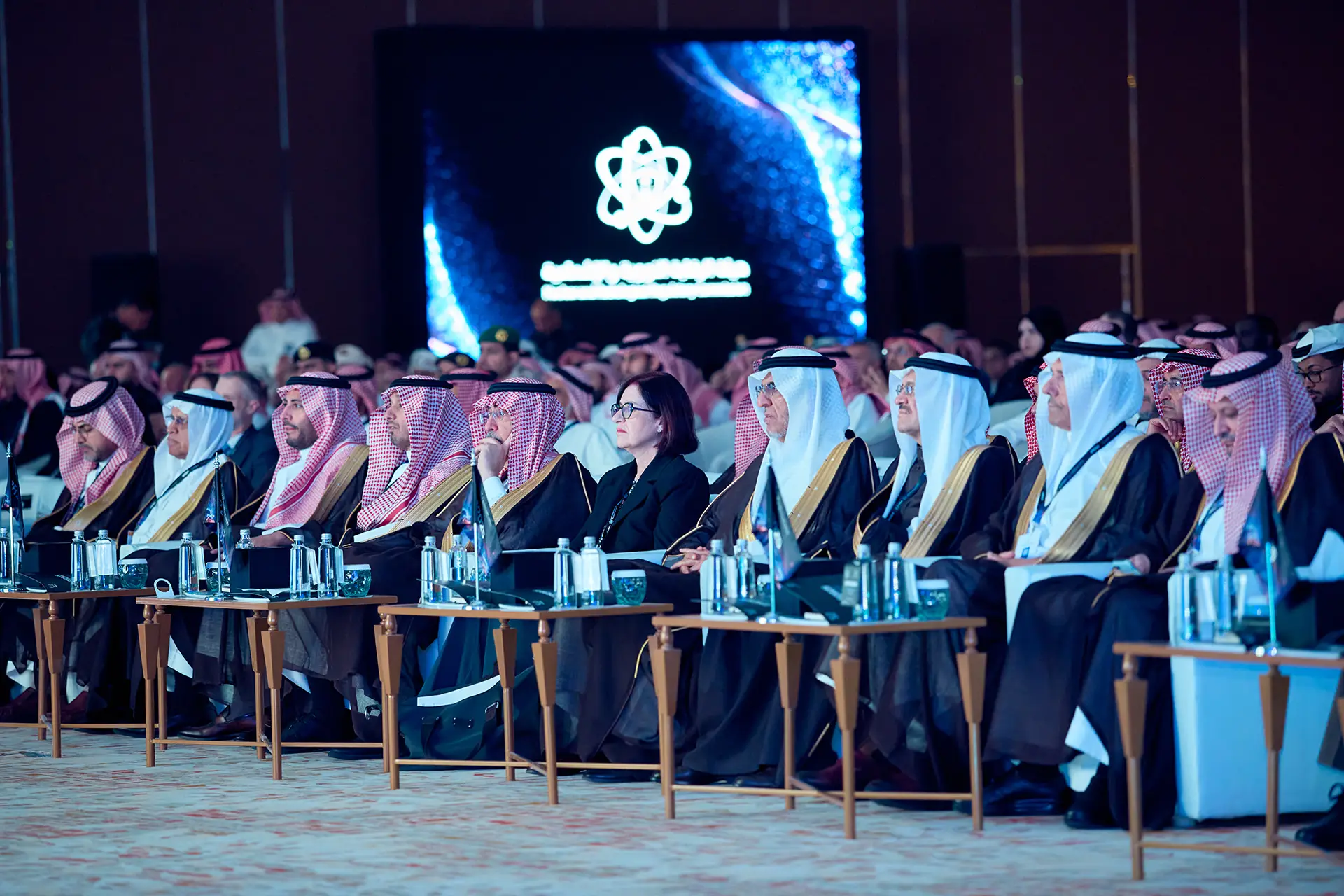The International Conference on Nuclear & Radiological Emergencies