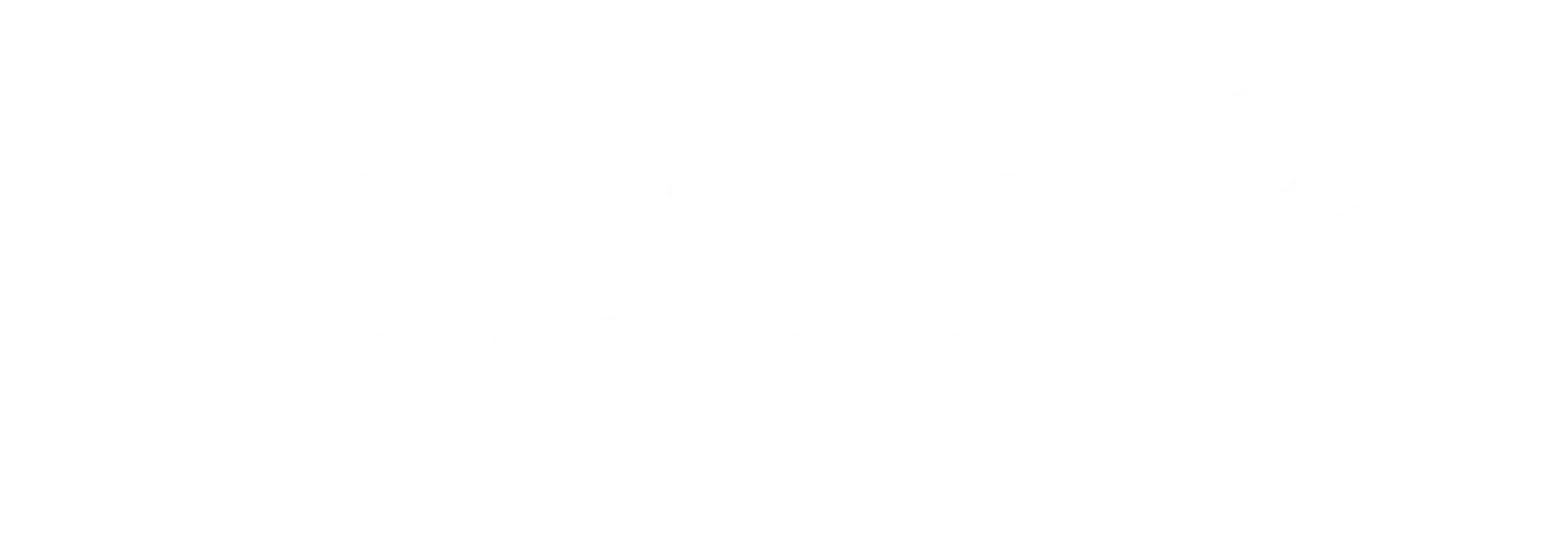 Professional Pioneers