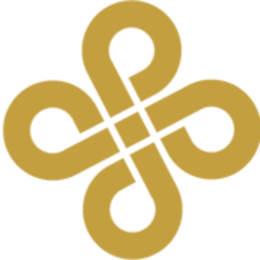 Portfolio Professional Pioneers